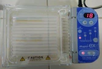 Figure 1. Electrophoresis Process.