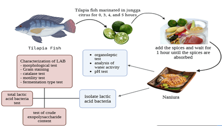 Figure 1. Research process.
