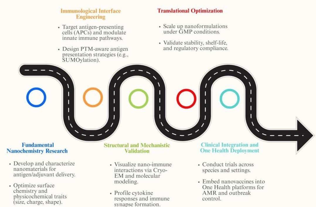 Figure 5. Research road map for nanochemistry-driven vaccine innovation.