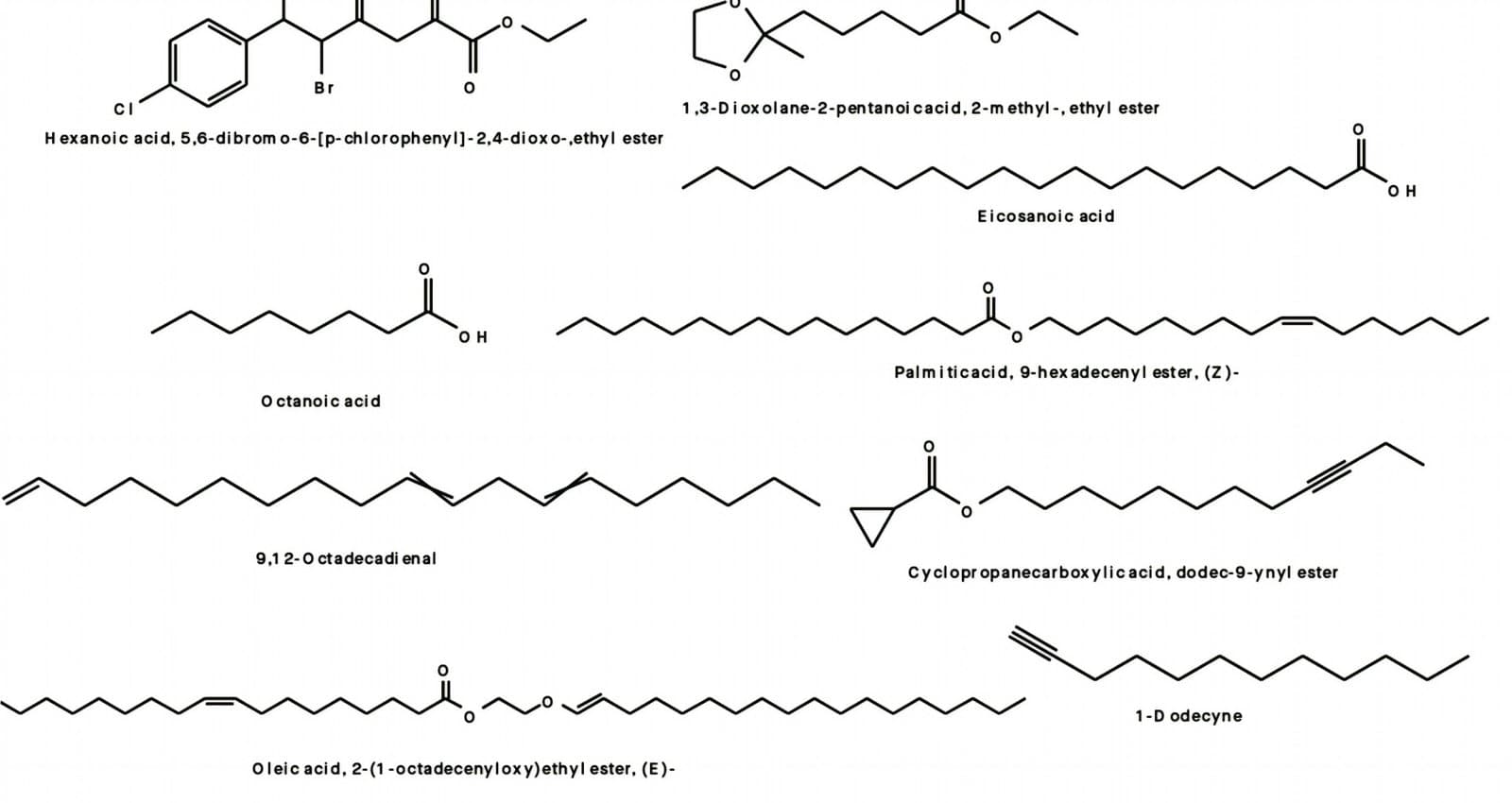 Figure 4. Some identified phytochemicals in methanol GC-MS of T. occidentalis seed extract.