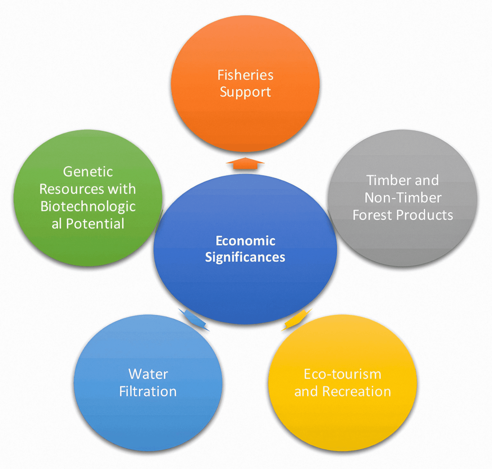 Figure 4. Different economic significances of Mangrove ecosystems.