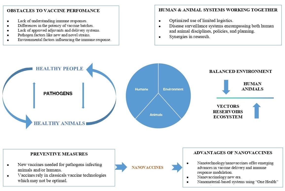 Figure 4. One Health applications of nanochemistry‑driven platforms in vaccine delivery systems.